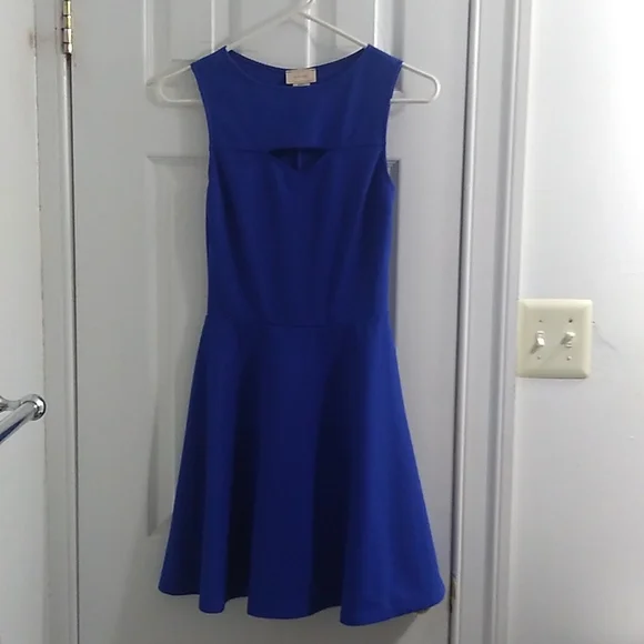 Gown Just Us Royal Blue Skater Dress Calvin Klein Royal Blue Dress